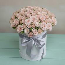 Цветочная композиция из Розы в шляпной коробке #REPLACE_PRED# Темижбекском