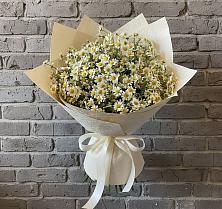 Букет цветов из:  Ромашки в Темижбекском