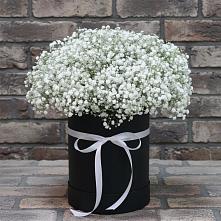 Цветочная композиция из Гипсофила в шляпной коробке в Темижбекском