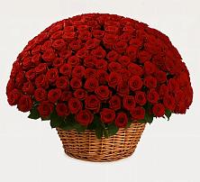 Премиум букет из: Розы в Темижбекском