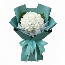 Букет цветов из:  Гортензия в Темижбекском